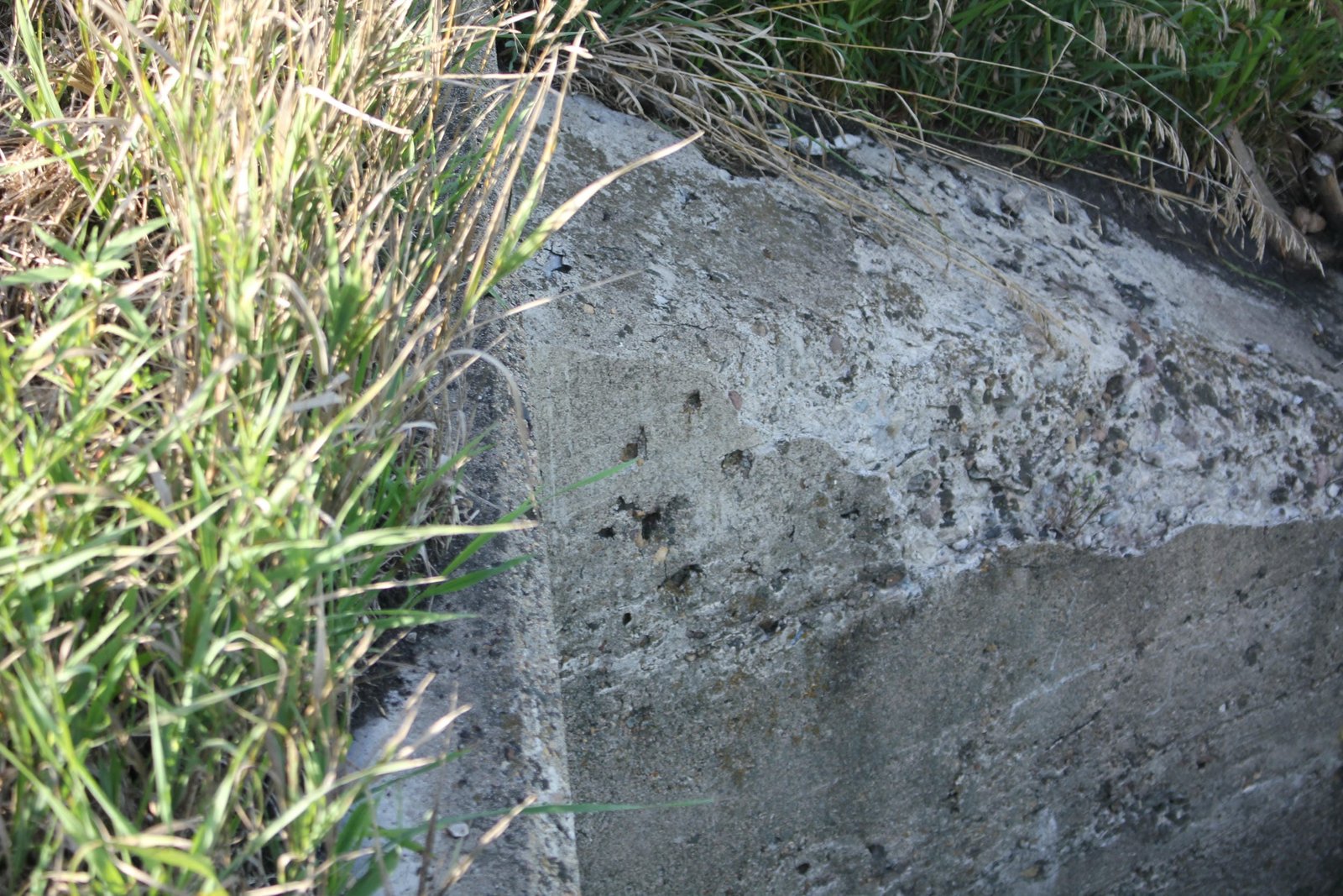 Missing plaque